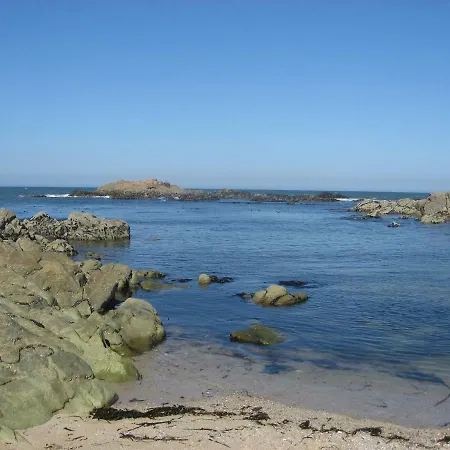 Matosinho's Palace * ماتوسينهوس