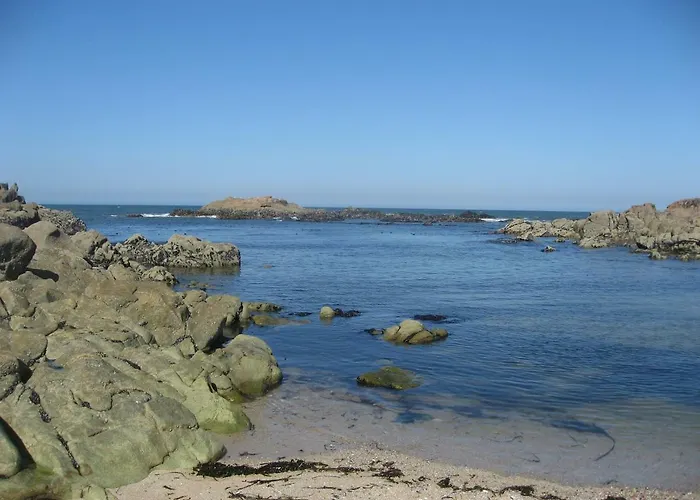 Matosinho's Palace * Matosinhos (Porto)